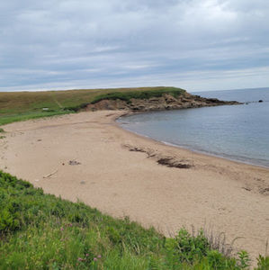 Meet your Posher, Shelby